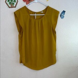 Iris Basic Gold Pleated Sleeveless Blouse